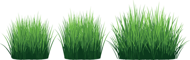 Fototapeta premium Grass Clumps Collection in Different Shapes and Heights Vector Illustration for Landscaping, Nature, and Garden Design Projects