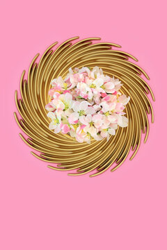 Spring apple blossom flowers gold circular wreath decoration on pink background. Symbol of Springtime and Beltane festival for greeting card.