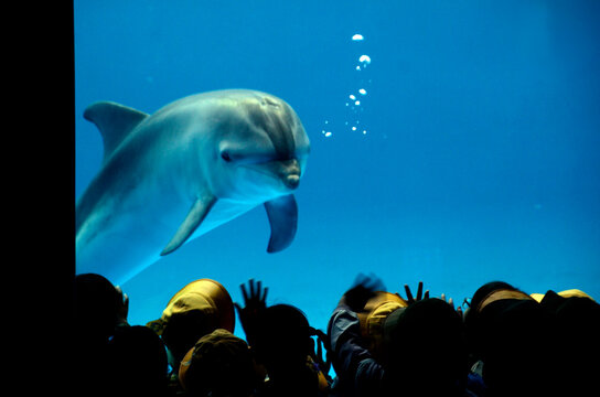 水族館の風景