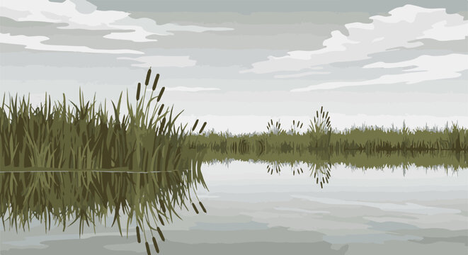 A serene marsh scene with tall reeds reflecting in calm water under a cloudy sky