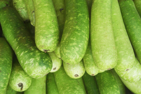 Many fresh winter melons close up	