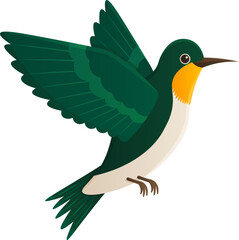 Fototapeta premium Illustration of Hummingbird