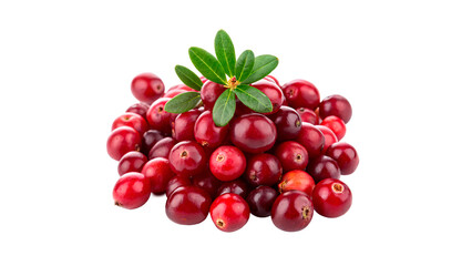 Obraz premium Fresh cranberries stacked with green leaves on top isolated on transparent background