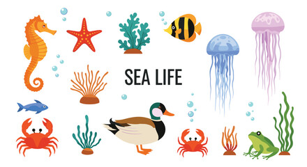 Naklejka premium Large collection of sea life illustrations including a seahorse, starfish, jellyfish, crab, duck, frog, and coral on a white background.