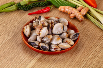 Raw fresh wild clams mollusc © Andrei Starostin