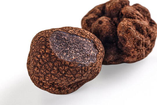 Whole black winter truffle isolated on a white background. Gourmet culinary ingredient.