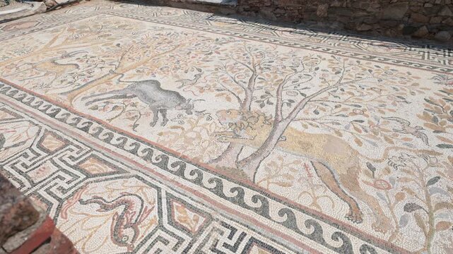  Floor mosaics at Heraclea Lyncestis ancient ruins greek city near Bitola, North Macedonia
