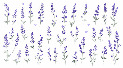 Obraz premium Hand-drawn lavender blooms forming a peaceful and harmonious pattern
