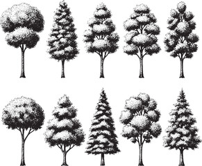 Fototapeta premium Collection of ten stylized trees in black and white with white background line art collection stylized botanical illustration evergreen deciduous isolated monochrome artistic silhouette
