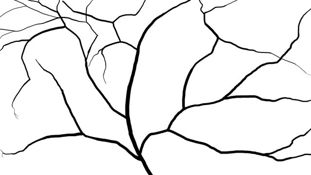 Abstract silhouette pattern of branching black lines resembling tree roots, cracked surfaces, or organic veins, isolated design element for textures, overlays, and creative backgrounds