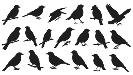 Fototapeta premium Comprehensive collection of various bird silhouettes in different poses including perching on branches and flying with wings spread.