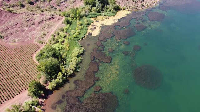 Blue water and green algae contrast at Lake Salagou, Occitanie France