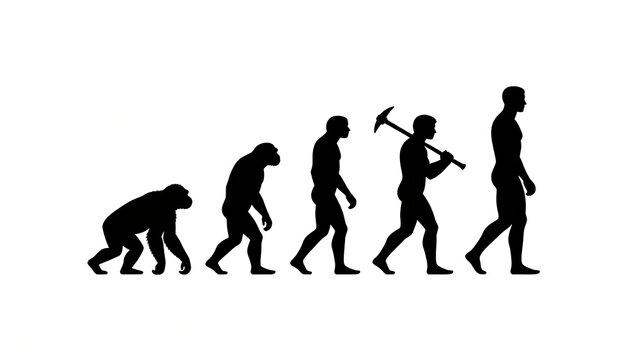 Human evolution sequence from ape to modern man