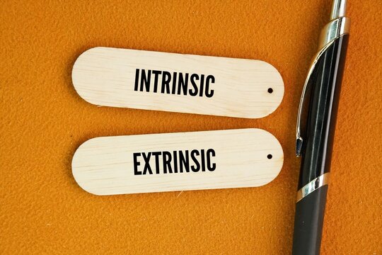 What are the two types of work values? Intrinsic and Extrinsic word. Intrinsic is about doing it for the sake of the task, while extrinsic is doing it for a result. 