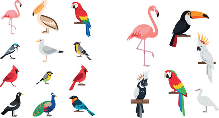 Colorful Bird Species Collection Featuring Flamingo Toucan Parrot Peacock Cardinal Seagull and Exotic Wildlife in Flat Cartoon Style Illustration Set © Sirajul