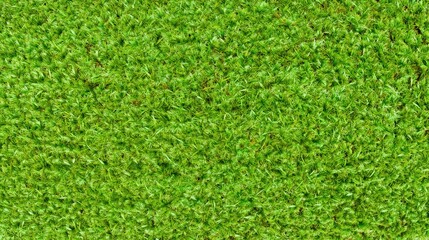 Fototapeta premium A dense carpet of lush green grass blades creating a vibrant natural texture.