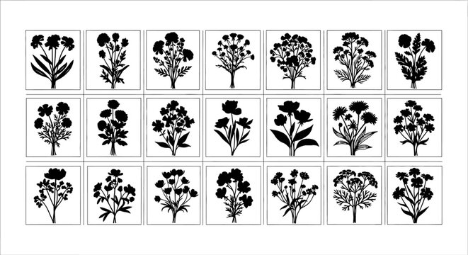 Collection of black and white botanical illustrations of various flowers and plants in square frames