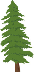 Obraz premium Pine Tree Illustration