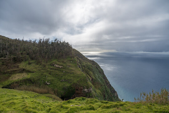 Madeira, Blumeninsel