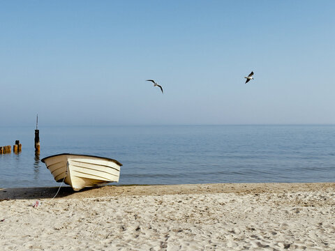 cream-white wooden rowing boat rests on a sandy Baltic beach while two seagulls soar freely above a glassy calm sea and soft hazy horizon