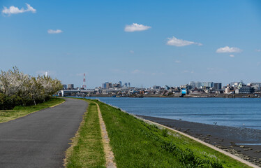 Fototapeta premium 都県境を流れる多摩川の河口の風景