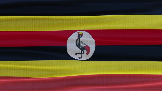 Uganda flag waving in the wind with high quality fabric texture