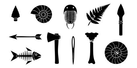 Prehistoric tools and fossils are displayed on a surface. © Dhani