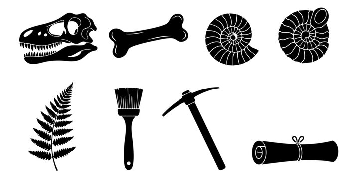 Fossilized dinosaur skull and bone along with a paintbrush and pickaxe lie next to a ferns and ammonites.