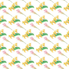 Fototapeta premium Seamless pattern of hand-drawn Siam Tulip and White Cheesewood flowers, yellow and pink Thai floral background.