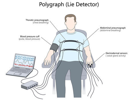 polygraph test setup showing chest and abdominal breathing sensors, blood pressure cuff, electrodermal activity monitoring system diagram hand drawn schematic raster. Science educational illustration