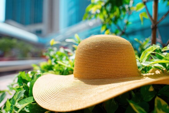 建物近くの緑の植物の上に置かれたつばの広い日よけ帽子