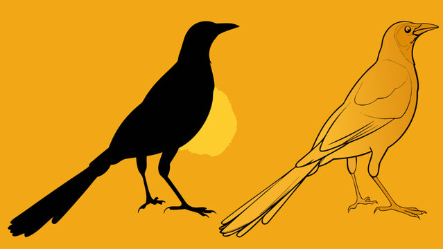 silhouette of a bird on a branch