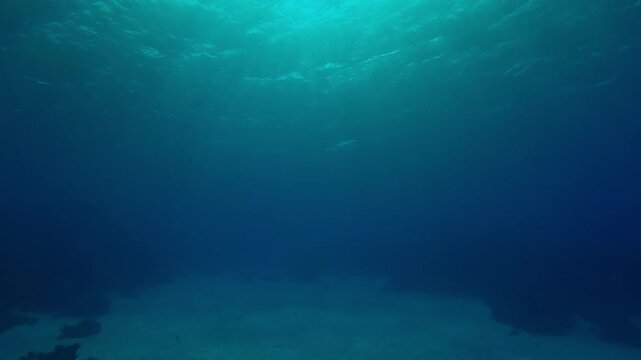 Slow motion of underwater sun rays shines below water illuminating the sea depths, Bright sunlight underwater in the depth Ocean with ripples on waves surface, Bottom view of sun lits to blue abyss