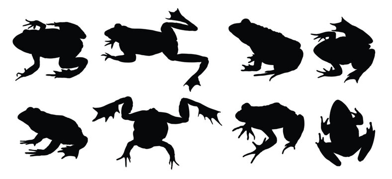  set of frog silhouettes