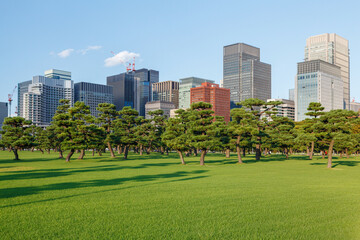 Obraz premium Tokyo Central Parks and Green Urban Spaces