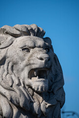 Obraz premium lion statue in the park