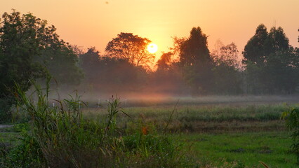 Naklejka premium Beautiful sunrise over a misty rural field surrounded by lush green trees. The warm golden sunlight filters through the silhouettes of the forest, creating a peaceful and atmospheric morning scene. Li