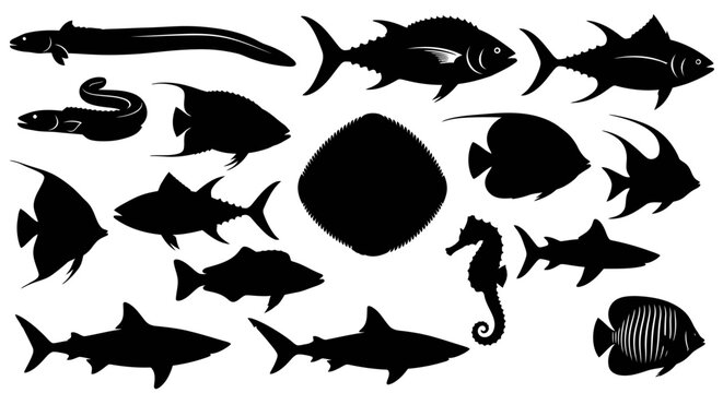 Black silhouettes of various fish species.