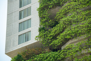 Building with lush plants garden growing outside apartments at balconies, modern architecture...