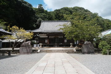 Fototapeta premium Ancient Japanese Temple Pathway Serene Tradition