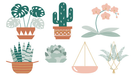 Fototapeta premium Collection of Various Potted Cacti and Succulents.