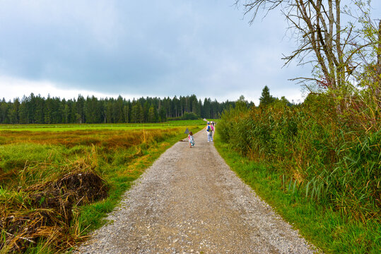 Wanderweg am Elbsee bei Aitrang im bayerischen Ostallg&auml;u