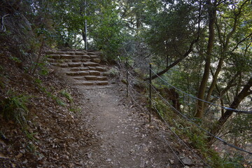 Obraz premium Narrow dirt hiking trail with stone steps and rope fence in forest