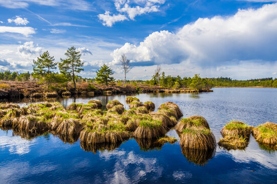 Sch&ouml;nramer Moor