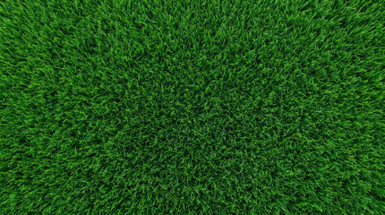 Fototapeta premium Overhead view of a lush and vibrant green lawn featuring thick blades of grass perfect for landscaping gardening or nature backgrounds in high resolution for professional design use.