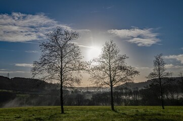 Naklejka premium English winter countryside picture a cloudy sky, showing three trees in a line in a green field at sunrise. Blue sky adds to to rural lifestyle and country life feel, green grass and shadows. 