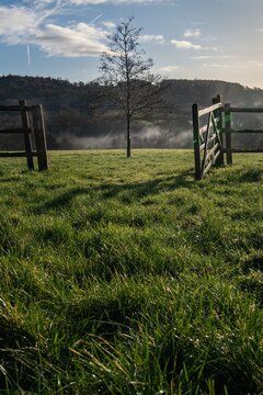 Open gate to the English countryside picture, leading line into a green grass field with a single tree at sunrise. Blue sky adds to to rural lifestyle and country life feel.