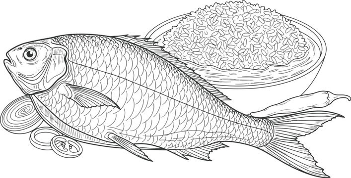 File ID(s): 1974429509 - Original name(s): Hand Drawn Ilish Mach and Panta Bhat Illustration (5).eps