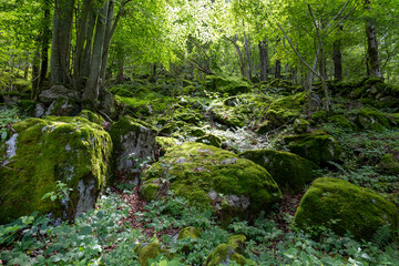 Obraz premium Stunning landscapes and granite peaks of Val di Mello nature reserve in the Italian Alps.