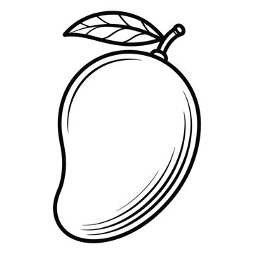 A detailed line drawing depicts a ripe mango with a single leaf presented as a silhouette